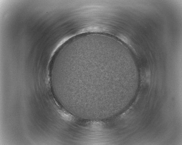 X0000066101070200603131224