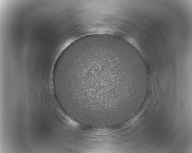 X0000066101071200603131224