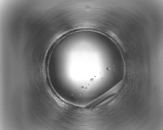 X0000066101072200603131224