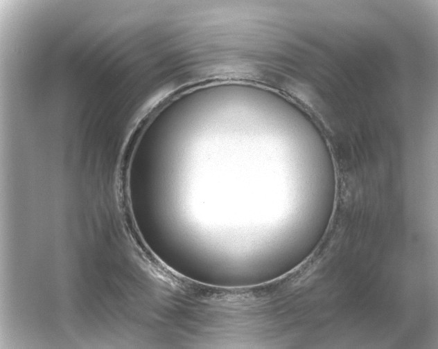 X0000066101074200603131224