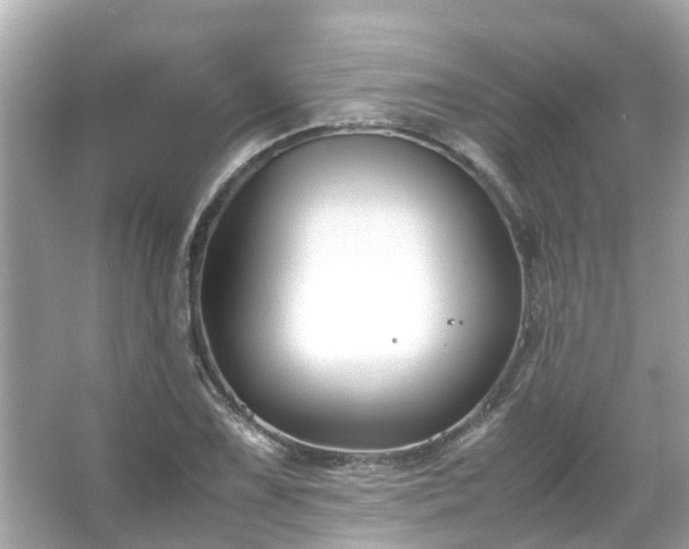 X0000066101075200603131224