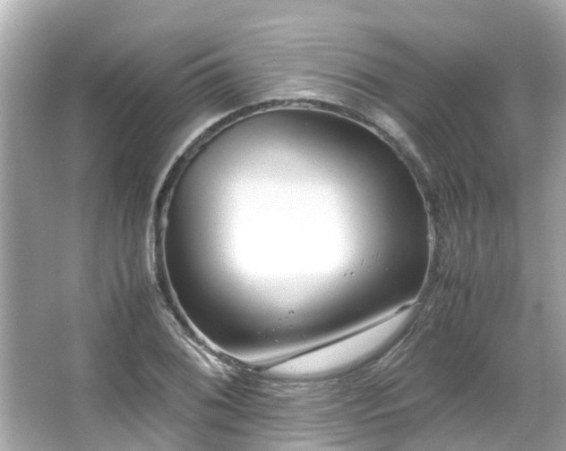 X0000066101076200603131224