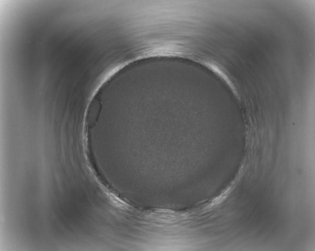 X0000066101077200603131224