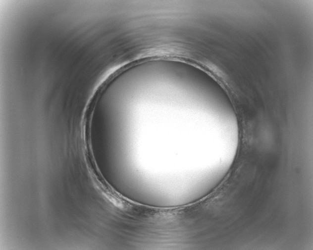 X0000066101078200603131224