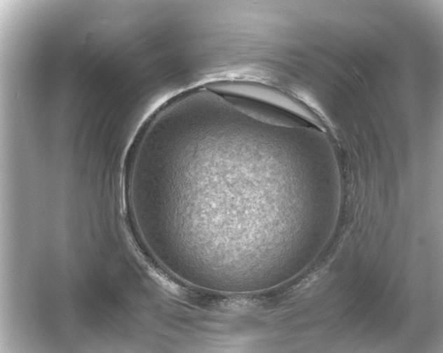 X0000066101079200603131224