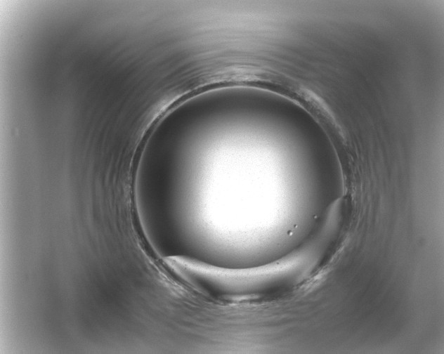 X0000066101081200603131224