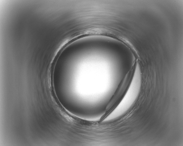 X0000066101083200603131224