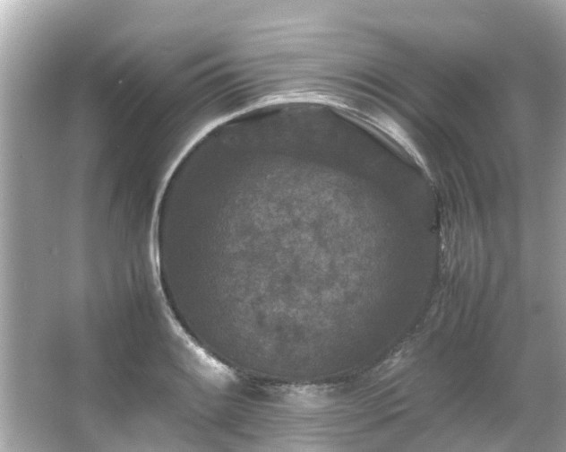 X0000066101084200603131224