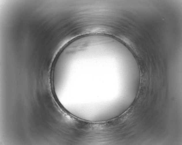 X0000066101086200603131223