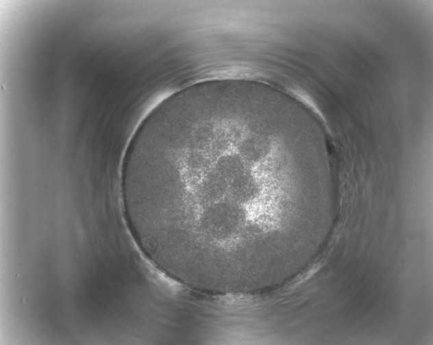 X0000066101087200603131223