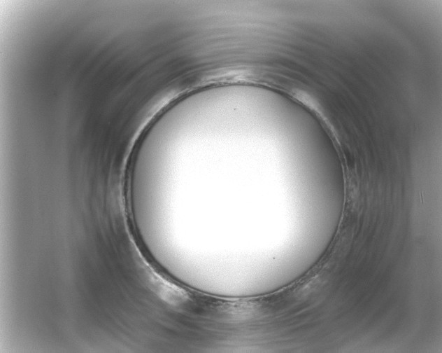 X0000066101090200603131223