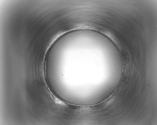 X0000066101094200603131223