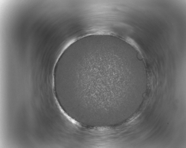 X0000066101095200603131223