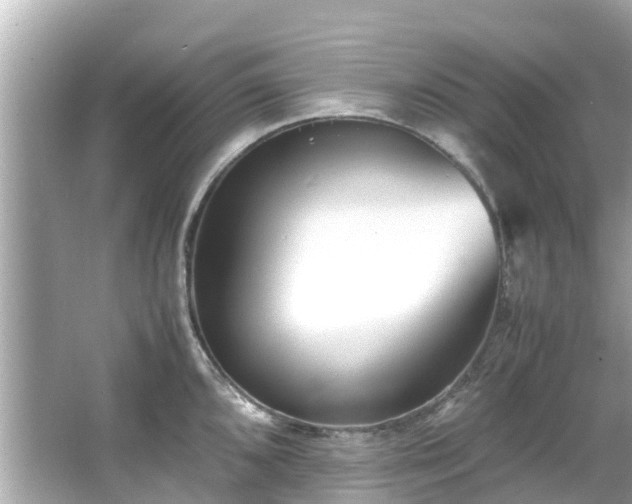 X0000066101096200603131223