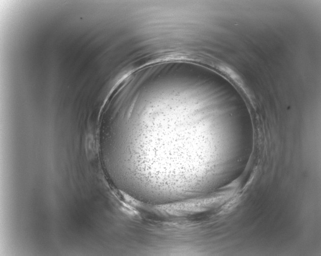 X0000066101097200603131223