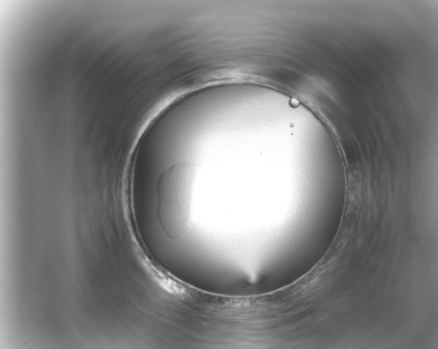 X0000066101098200603131223