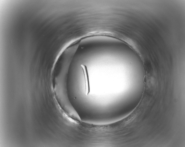 X0000066101102200603131223