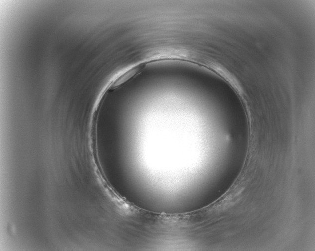 X0000066101104200603131223