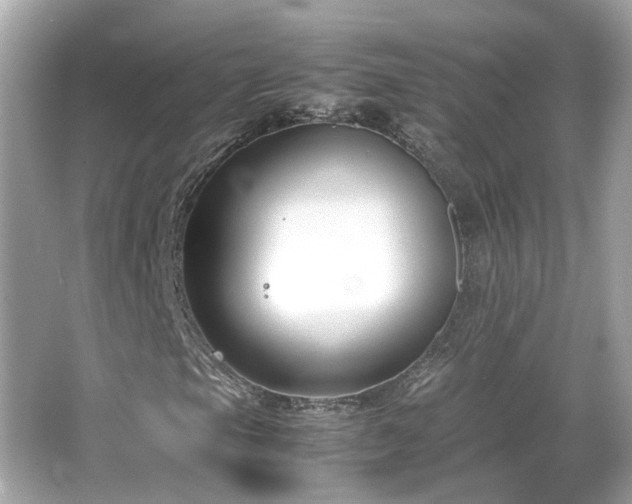 X0000066101105200603131222