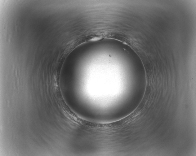 X0000066101106200603131222