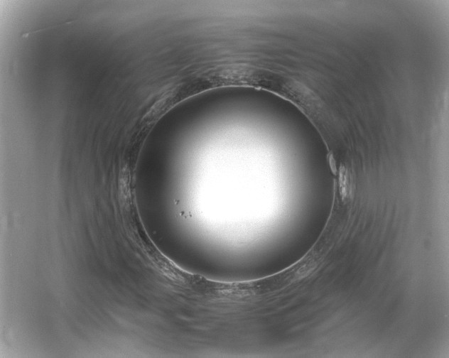 X0000066101107200603131222