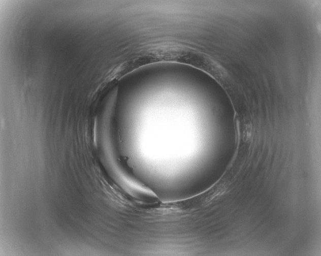 X0000066101108200603131222