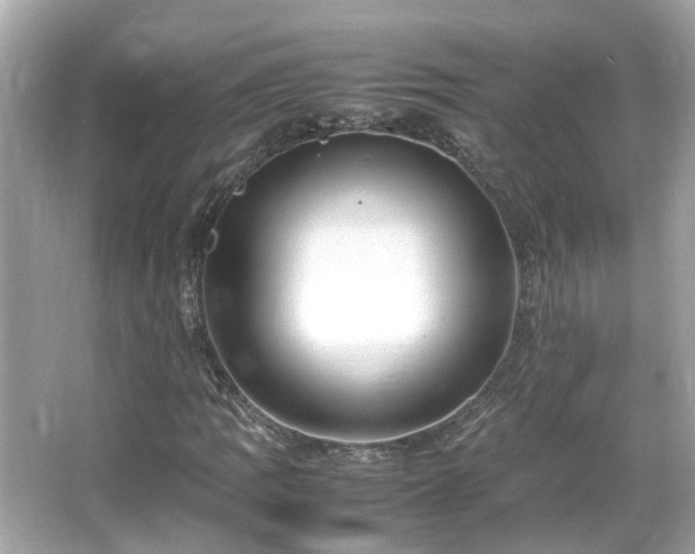 X0000066101109200603131222