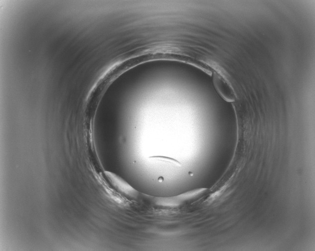 X0000066101115200603131223