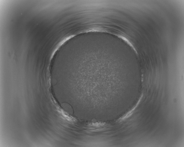 X0000066101117200603131223