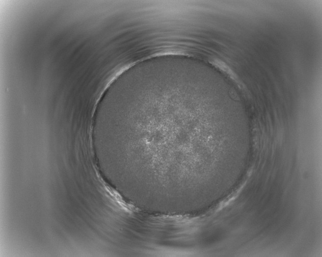 X0000066101121200603131223