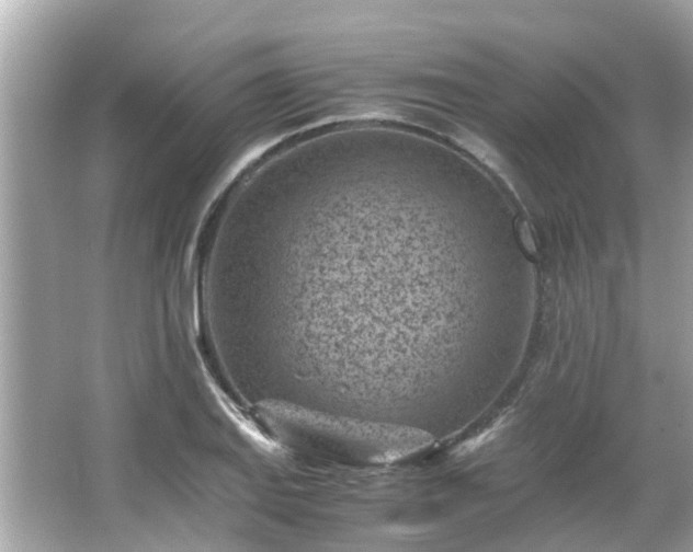 X0000066101127200603131223