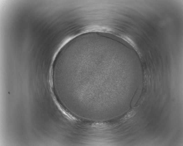 X0000066101128200603131223