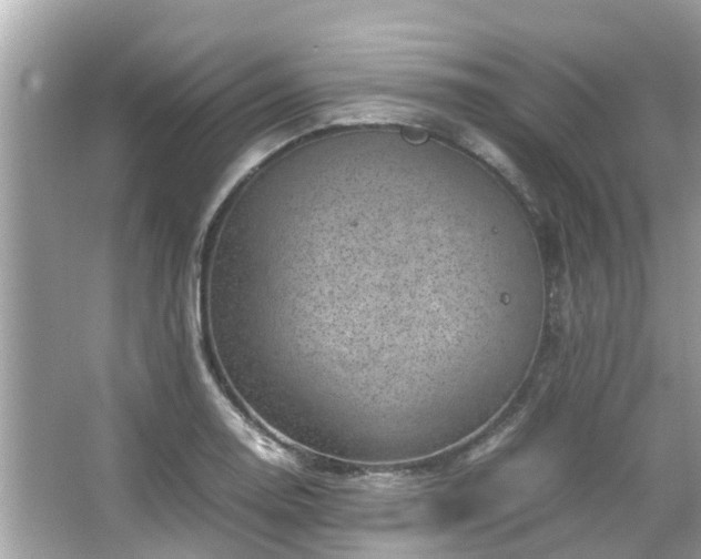 X0000066101130200603131223