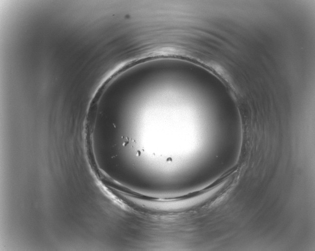 X0000066101134200603131223