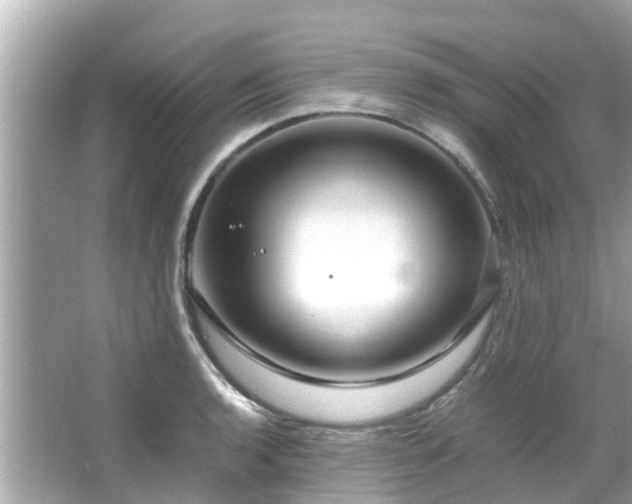 X0000066101136200603131223