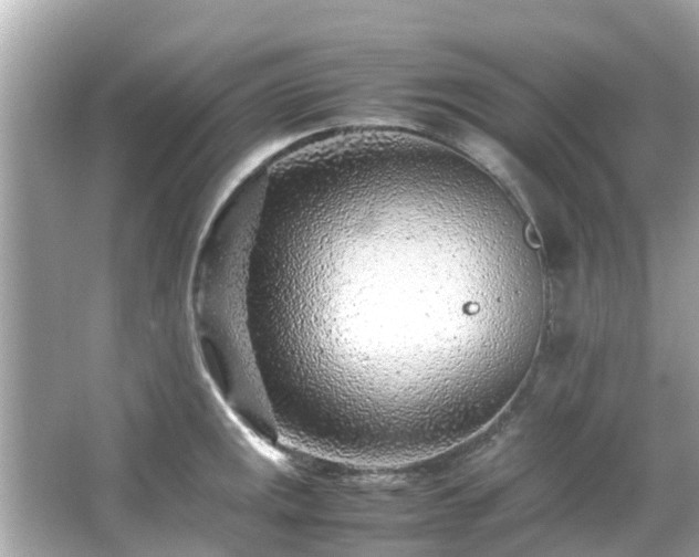 X0000066101141200603131223