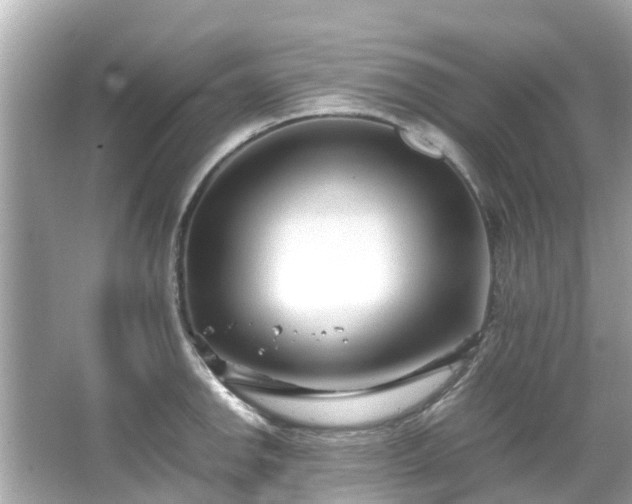 X0000066101142200603131223