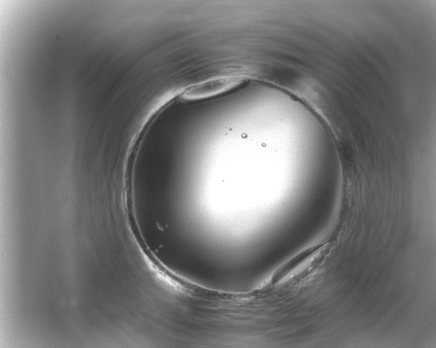 X0000066101143200603131223