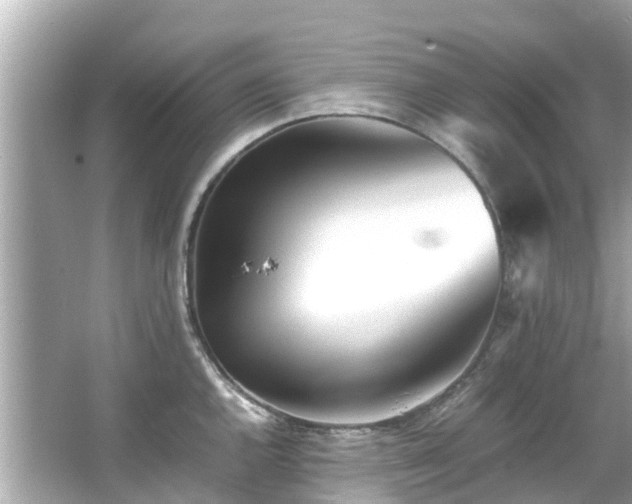 X0000066101144200603131223