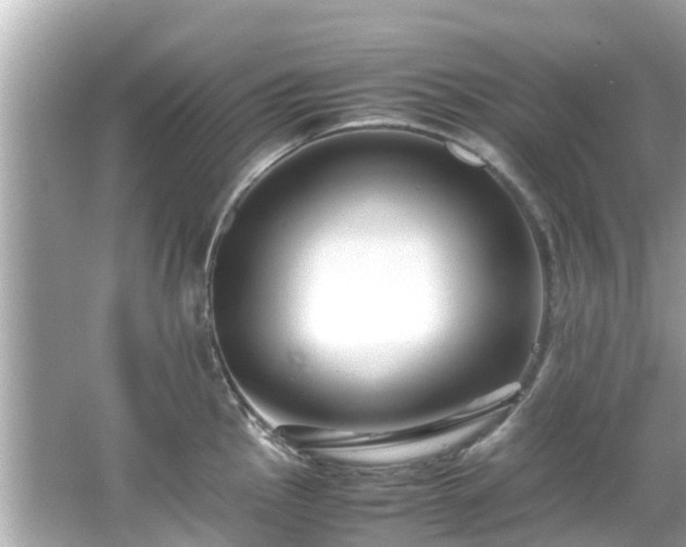 X0000066101145200603131223