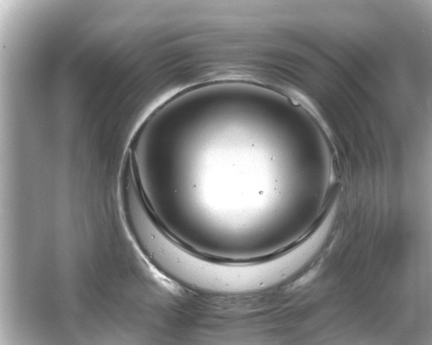 X0000066101149200603131223