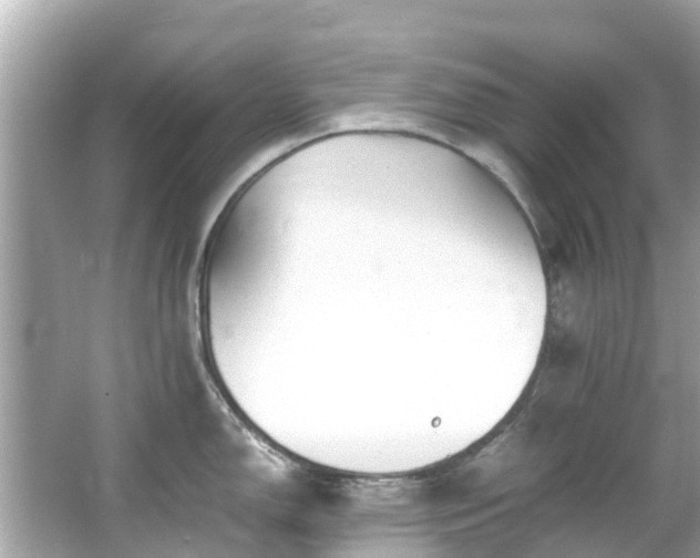 X0000066101150200603131223