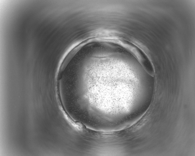 X0000066101152200603131223