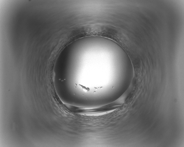 X0000066101153200603131222