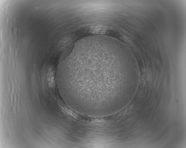 X0000066101154200603131222