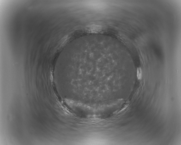 X0000066101155200603131222