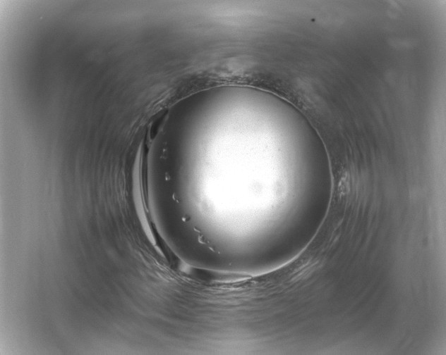 X0000066101156200603131222