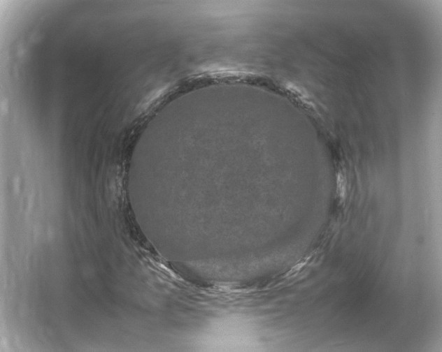 X0000066101157200603131222