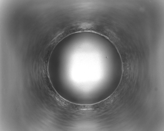 X0000066101158200603131222