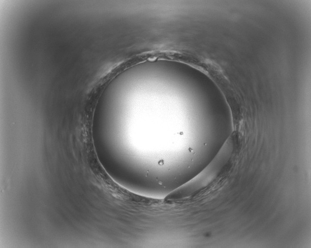 X0000066101159200603131222